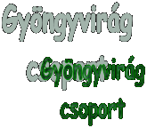 Gy�ngyvir�g
csoport
