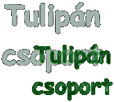 Tulip�n
csoport